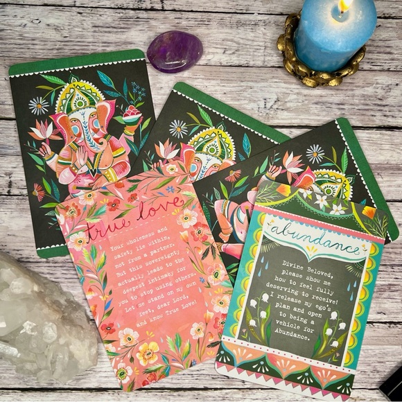 The Wild Offering Oracle Card Deck - LIKE NEW - Picture 2 of 5